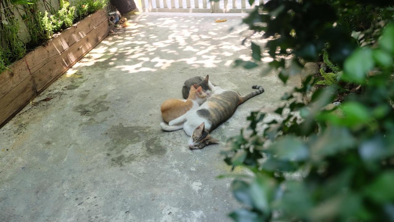 Nha Homestay Danang Exteriér fotografie