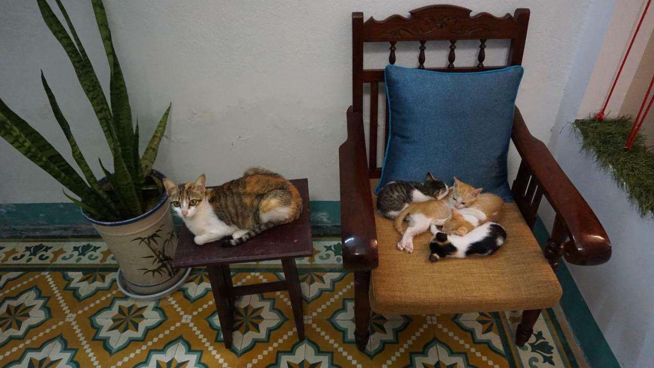 Nha Homestay Danang Exteriér fotografie